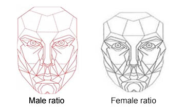 Graphic of the male face versus the female face